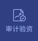審計驗資